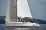 whyw13 sun 0958
